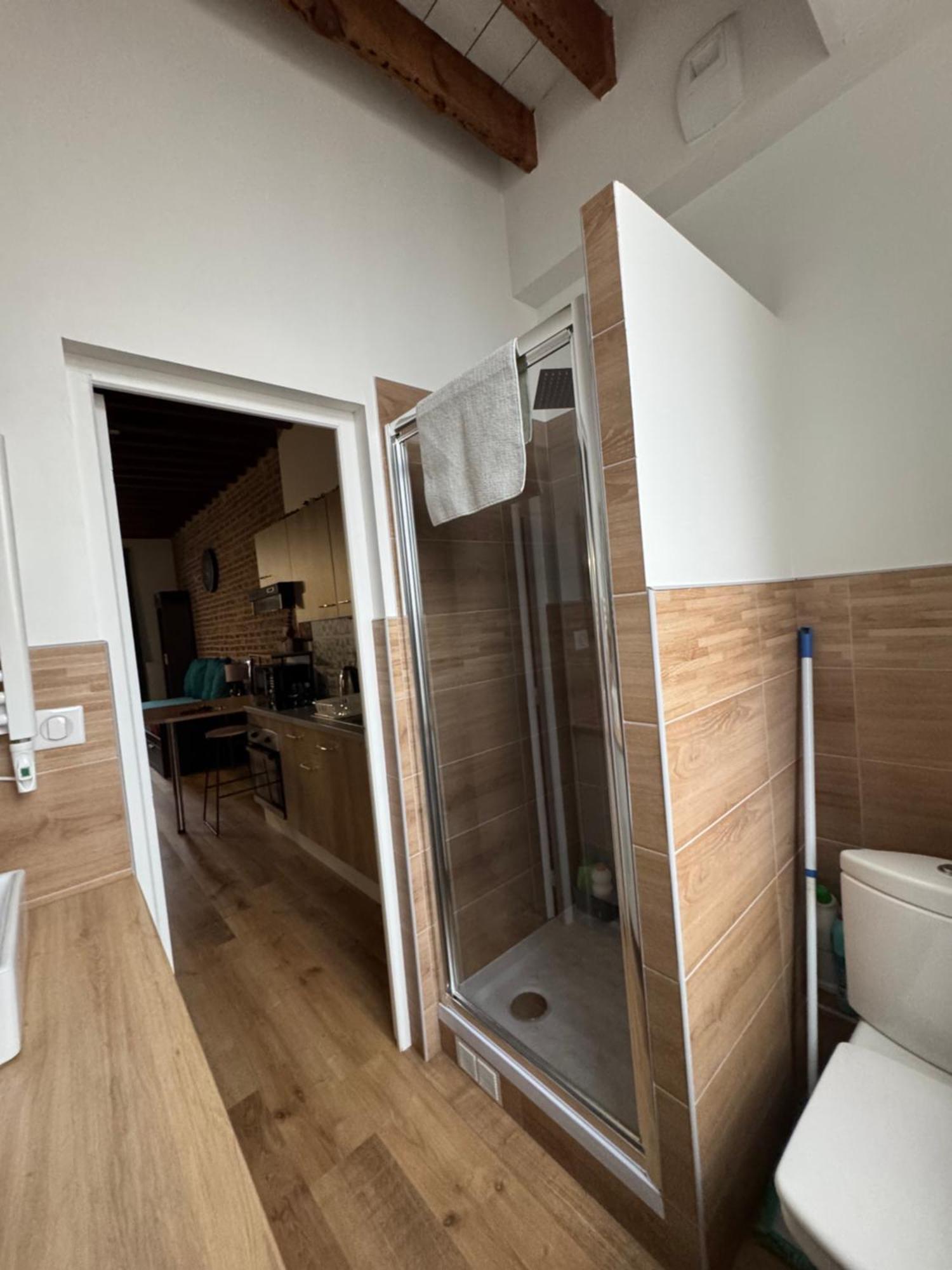 L'Ile Aux Ch'Tis Appartement Rijsel Buitenkant foto