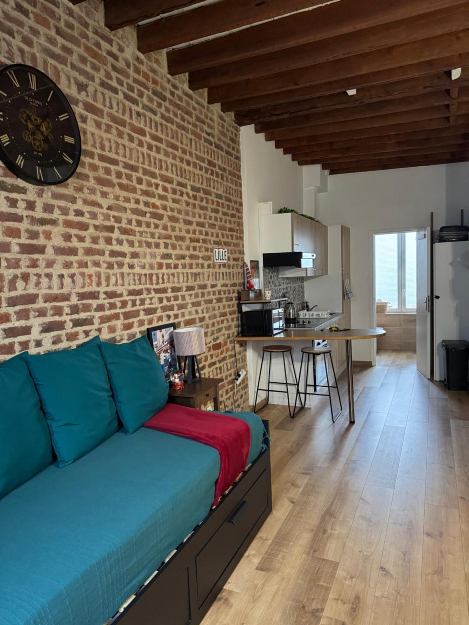 L'Ile Aux Ch'Tis Appartement Rijsel Buitenkant foto