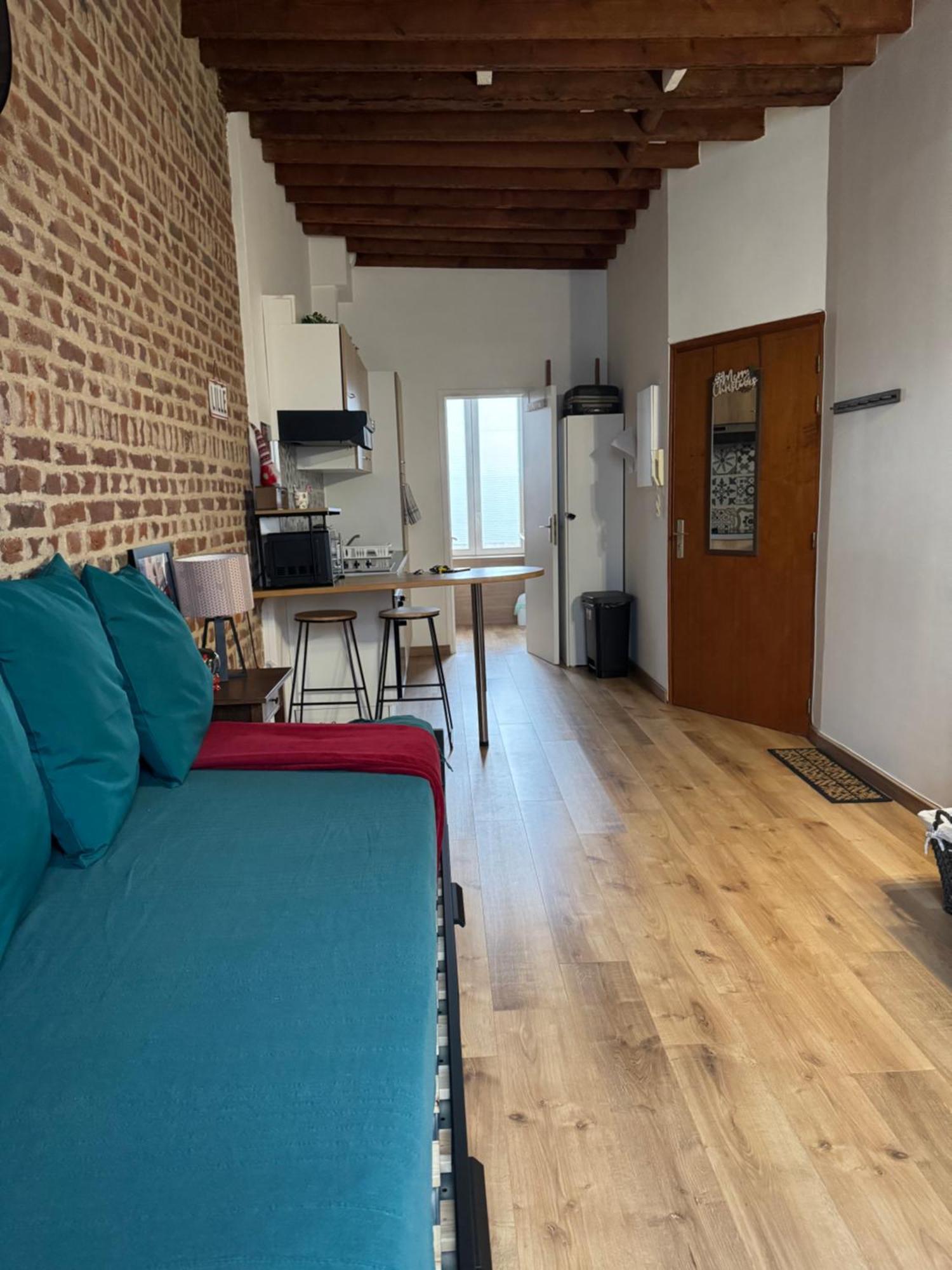 L'Ile Aux Ch'Tis Appartement Rijsel Buitenkant foto