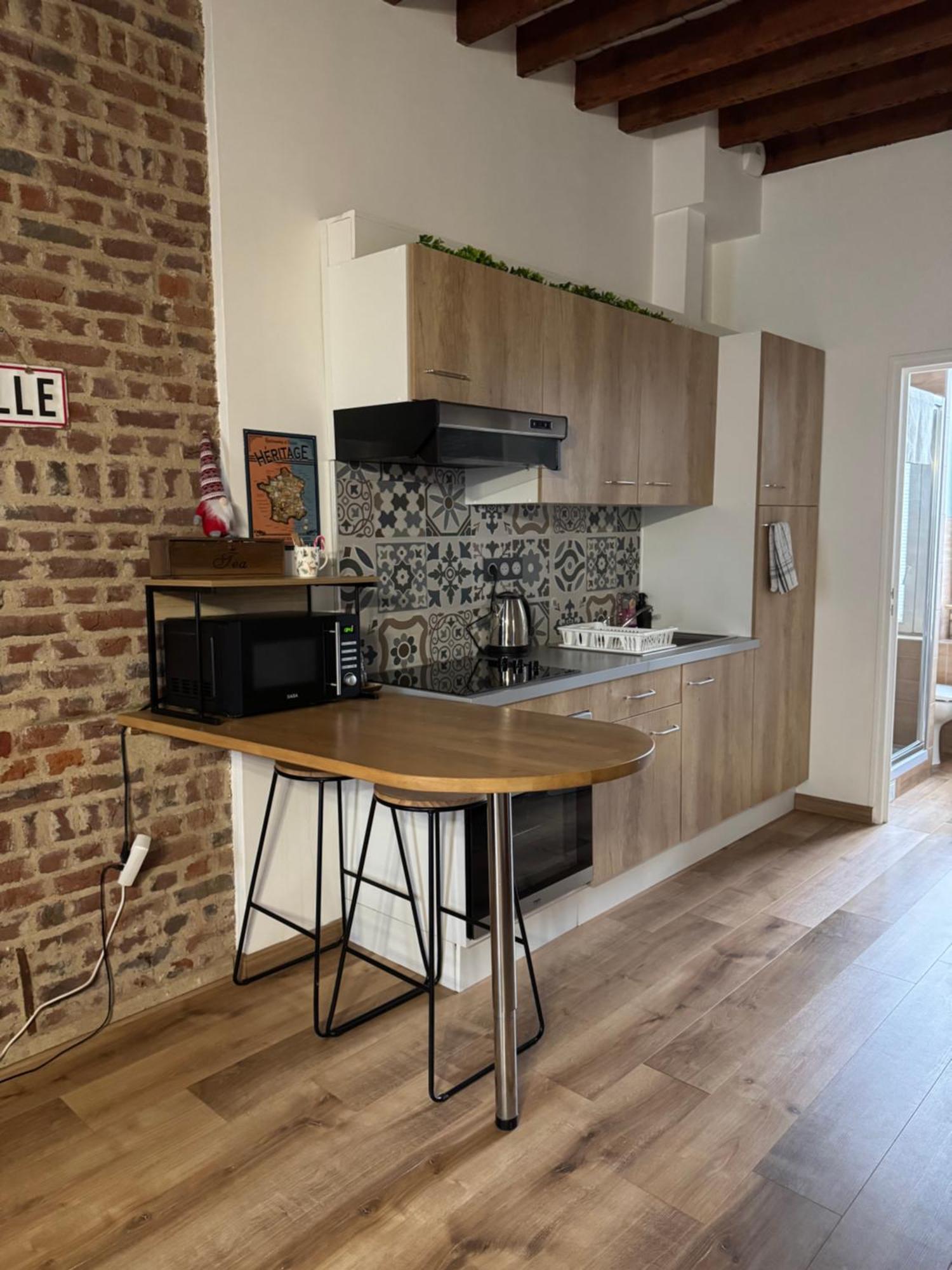 L'Ile Aux Ch'Tis Appartement Rijsel Buitenkant foto