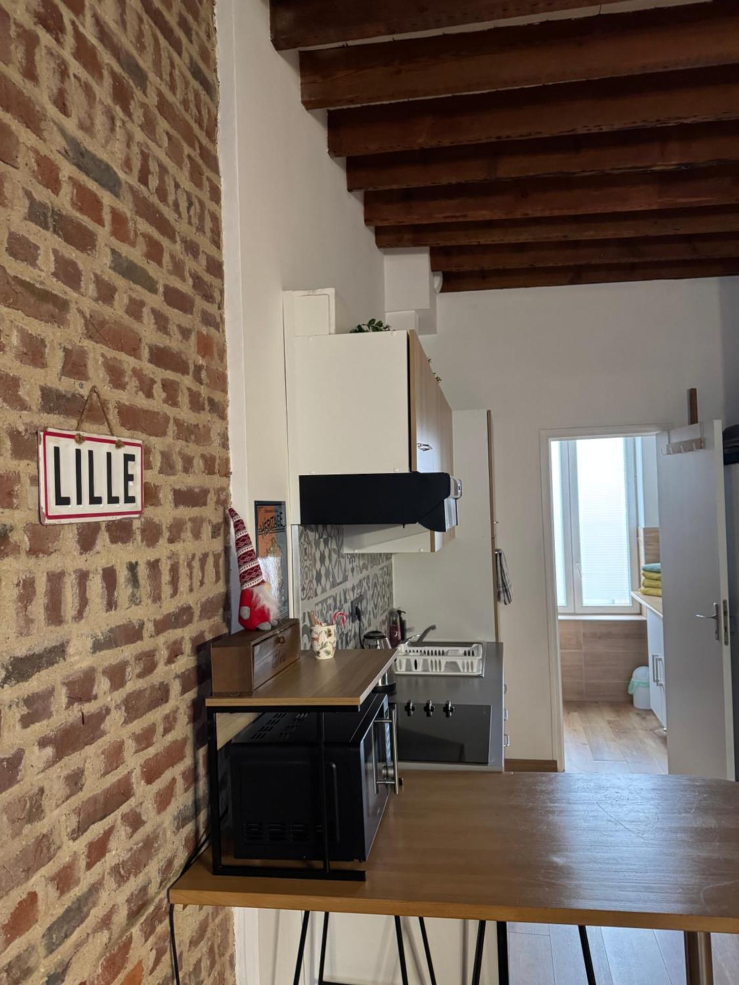 L'Ile Aux Ch'Tis Appartement Rijsel Buitenkant foto